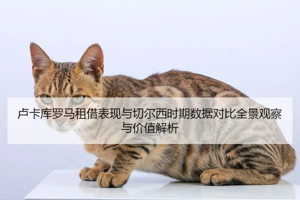卢卡库罗马租借表现与切尔西时期数据对比全景观察与价值解析